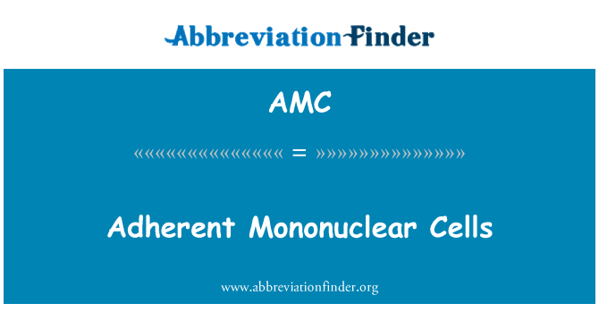 AMC: Dính các tế bào Mononuclear