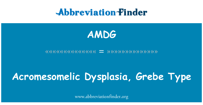 AMDG: Acromesomelic Dysplasia, uikku tyyppi