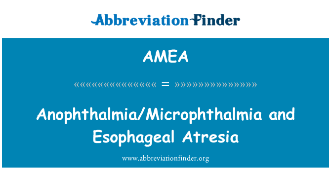 AMEA: Anophthalmia/mikroftalmie a atrézie jícnu