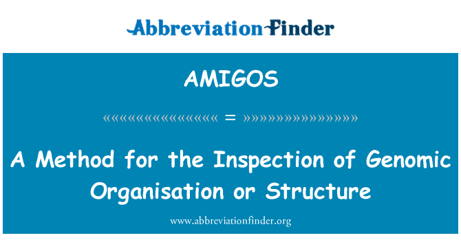 AMIGOS: A Method for the Inspection of Genomic Organisation or Structure