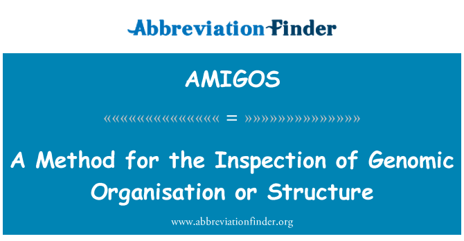 AMIGOS: Un mètode per a la inspecció de l'organització genòmica o estructura