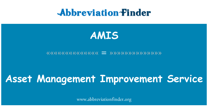 AMIS: Asset Management Improvement Service