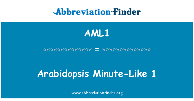 AML1: Arabidopsis 1 minut-ca