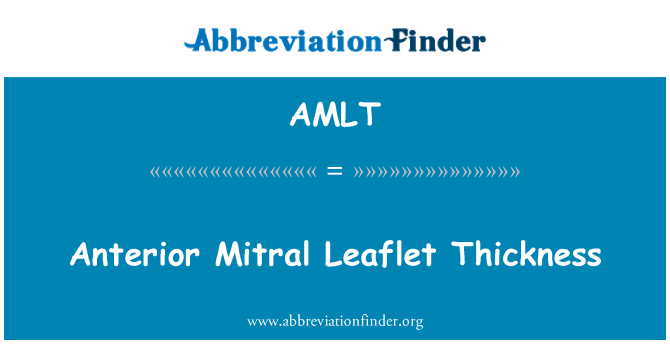 AMLT: Anterior Mitral broşür kalınlığı