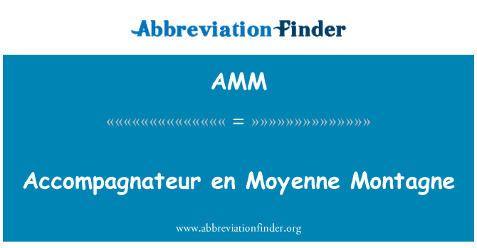AMM: Accompagnateur en Moyenne 蒙塔涅