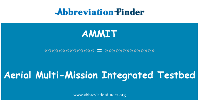 AMMIT: 공중 멀티 미션 통합된 테스트 베드