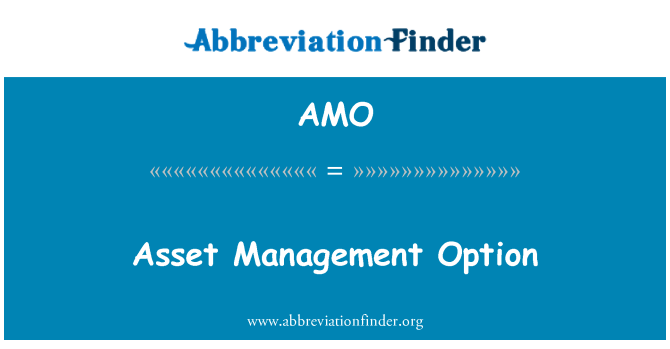AMO: Opción de gestión de activos