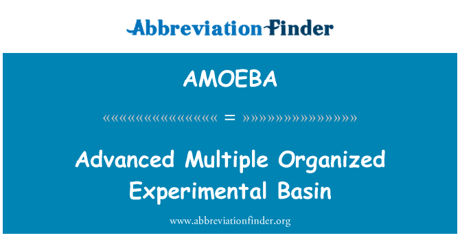 AMOEBA: Avançat múltiples conca Experimental organitzada
