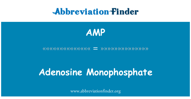 AMP: Adenosinmonofosfat