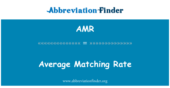 AMR: 평균 일치 율