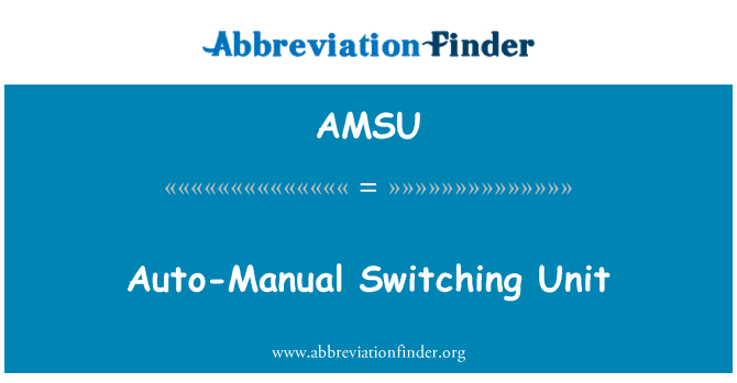 AMSU: 自動手動開關單元