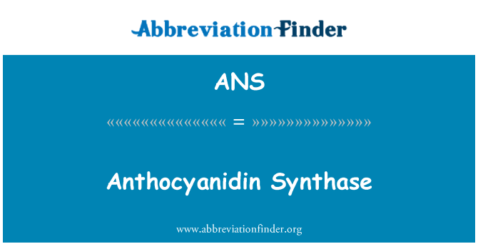 ANS: Anthocyanidine Synthase