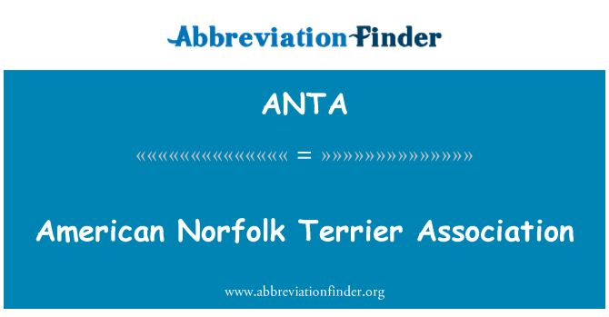 ANTA: L-Assoċjazzjoni Amerikana Norfolk Terrier