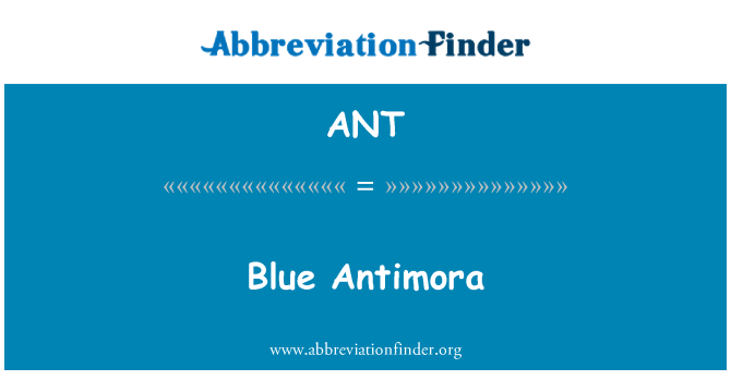 ANT: Modrá Antimora