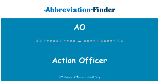 AO: Action Officer