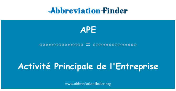 APE: Entreprise de Activité Principale