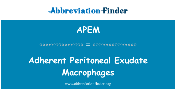 APEM: Macrófagos adherentes exudado Peritoneal