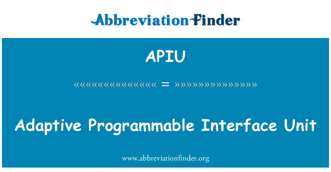 APIU: Блок адаптивного программируемый интерфейс