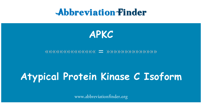 APKC: לא טיפוסיות חלבון קינאז C Isoform