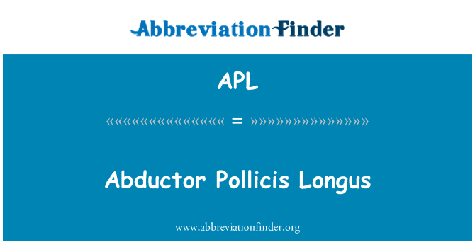 APL: Abductor Pollicis Longus