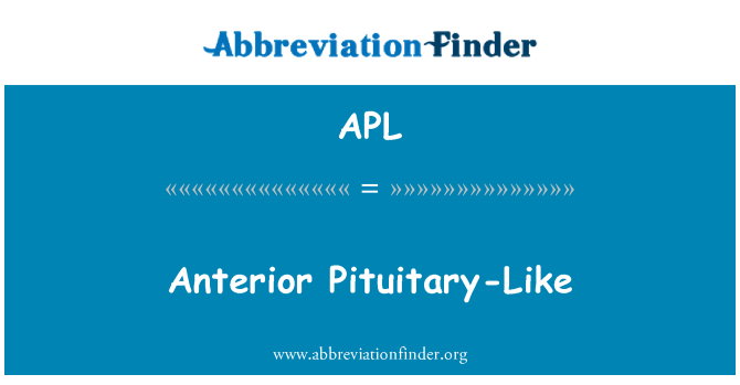 APL: แอนทีเรียร์เช่นต่อมใต้สมอง