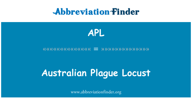 APL: Australian Plague Locust