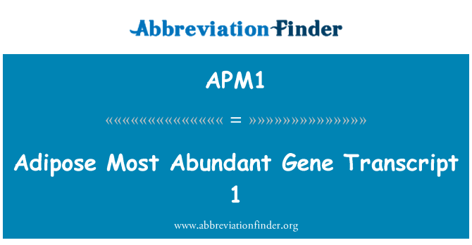APM1: 지방이 많은 가장 풍부한 유전자 사본 1