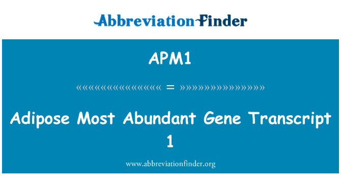 APM1: Adipose سب سے بکثرت جین امالی 1