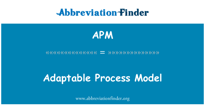 APM: 自适应过程模型