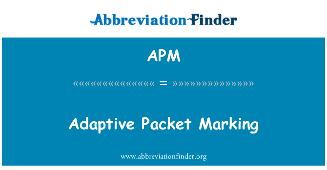 APM: 自适应包标记