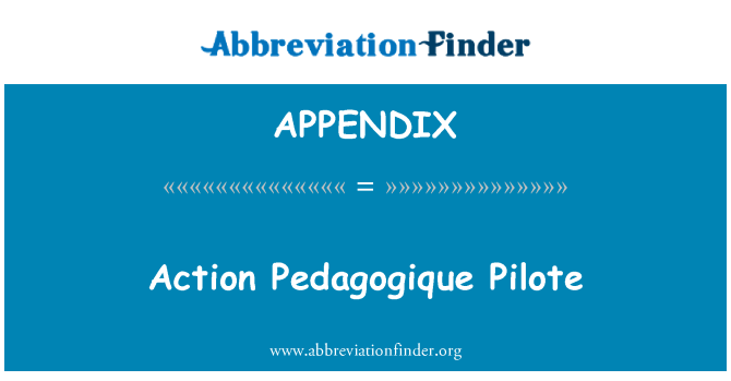 APPENDIX: Pedagogique Pilote akce