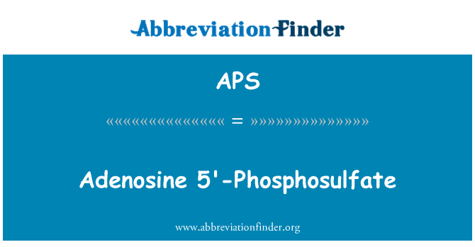 APS: Adenosin 5'-Phosphosulfate