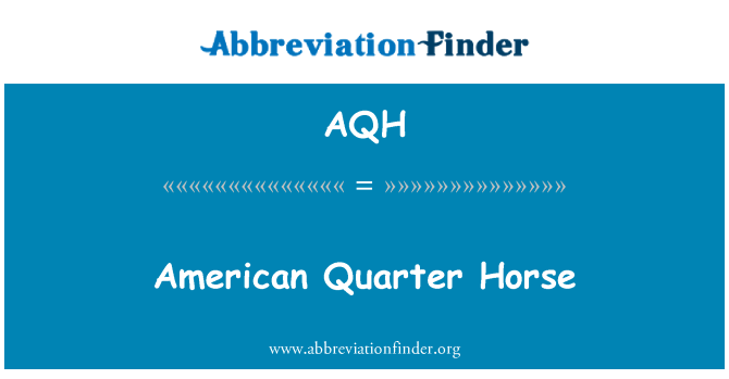 AQH: American Quarter Horse