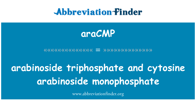 araCMP: arabinoside trifosfat u cytosine arabinoside monophosphate