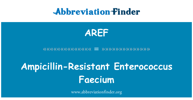 AREF: Ampicilin rezistentní Enterococcus Faecium
