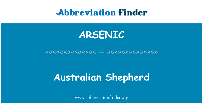 ARSENIC: Australianpaimenkoira