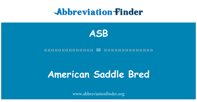 ASB: 美国育成的马鞍