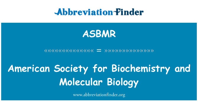 ASBMR: Cymdeithas Americanaidd ar gyfer Biocemeg a bioleg foleciwlaidd