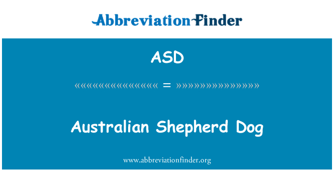 ASD: Anjing Gembala Australia