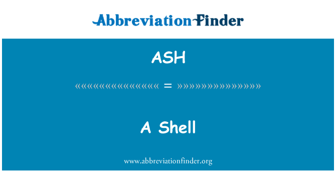 ASH: 쉘