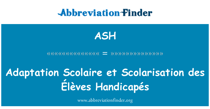 ASH: 适应大学生和中小学生 et Scolarisation des ° lÃ¨ves HandicapÃ © s