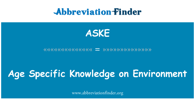 ASKE: 時代環境に関する特定の知識