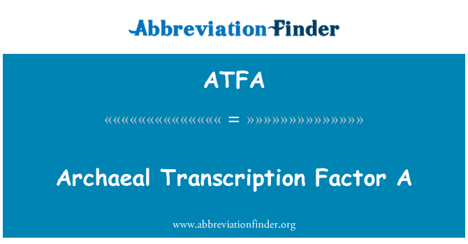 ATFA: Fattur ta ' traskrizzjoni ta ' l-Archaeal A