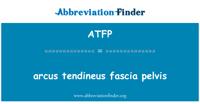 ATFP: Arcus tendineus fascia medence