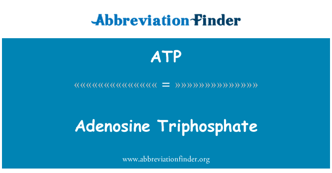 ATP: Adenosin trifosfát