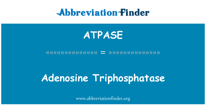 ATPASE: Adenozină Triphosphatase