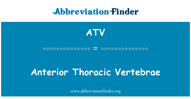 ATV: Anterior nikamien