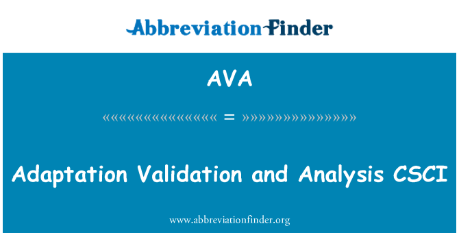 AVA: 適応の検証と解析 CSCI