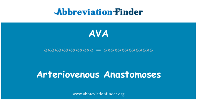 AVA: Arteriovenskim Anastomoses