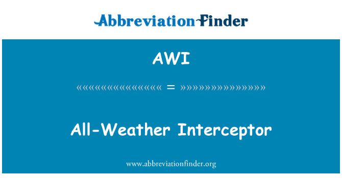 AWI: All-Weather Interceptor